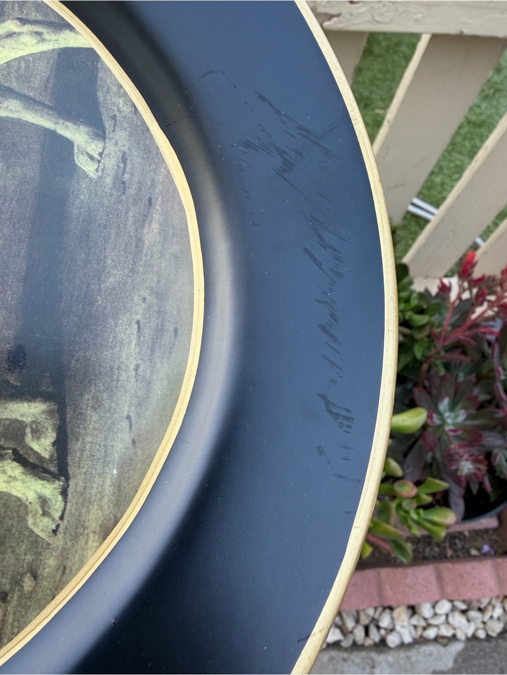 Decorative Wall Plate in Black with Gold Trim